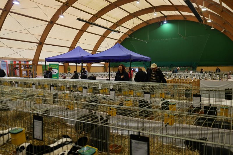 Otvorena 15. međunarodna izložba malih životinja