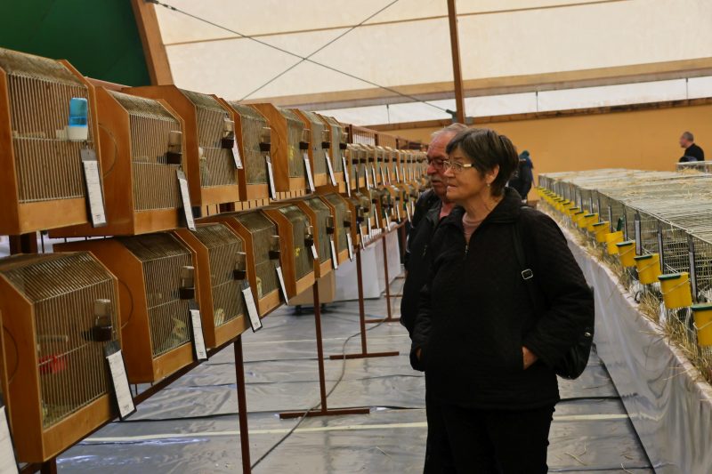 Otvorena 15. međunarodna izložba malih životinja