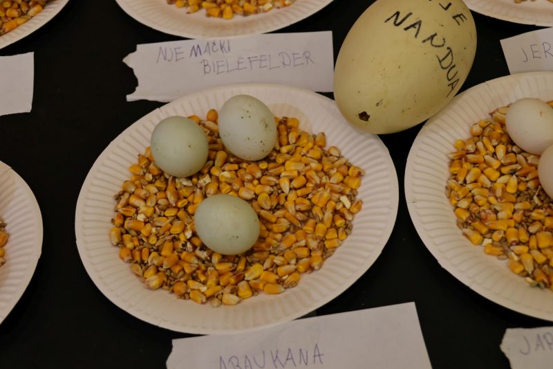 Otvorena 15. međunarodna izložba malih životinja