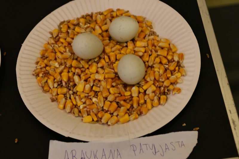 Otvorena 15. međunarodna izložba malih životinja