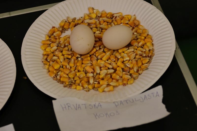 Otvorena 15. međunarodna izložba malih životinja