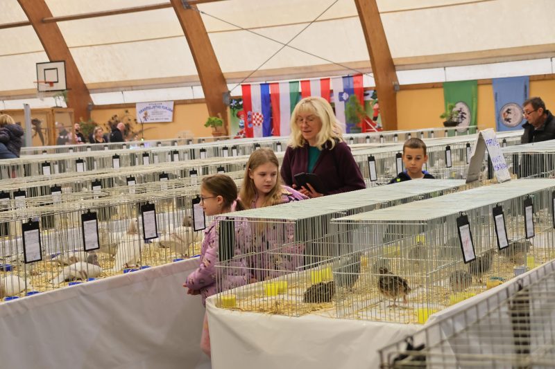 Otvorena 15. međunarodna izložba malih životinja