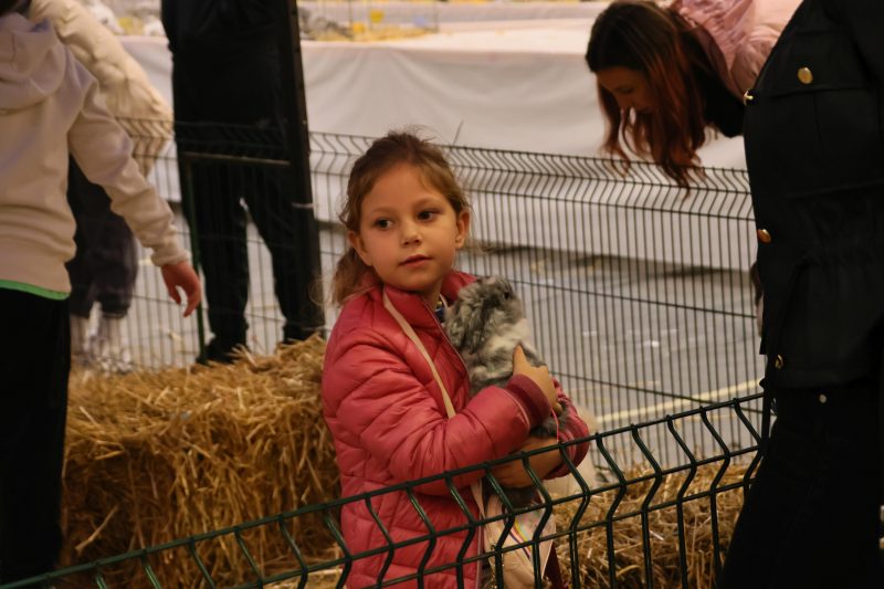 Otvorena 15. međunarodna izložba malih životinja