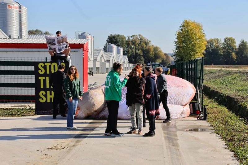 protiv megafarme u Velikom Pažutu