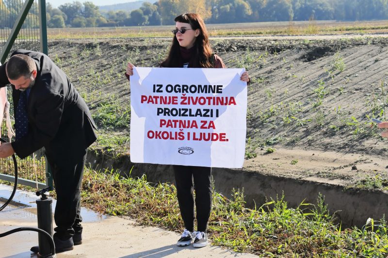 protiv megafarme u Velikom Pažutu