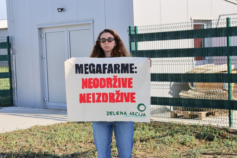 protiv megafarme u Velikom Pažutu
