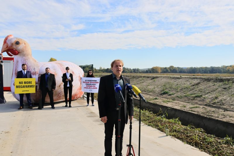 protiv megafarme u Velikom Pažutu